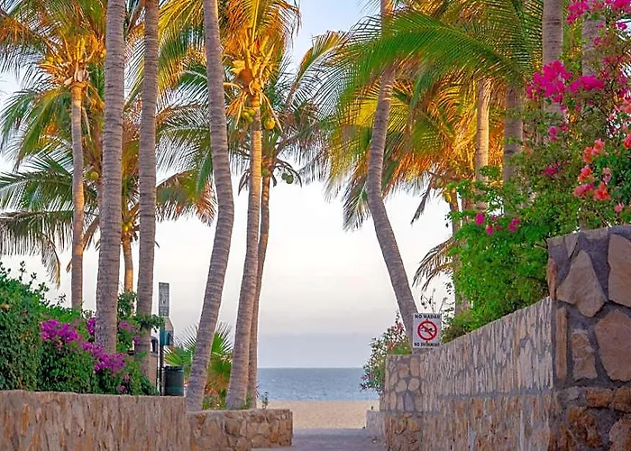 Pedregal 2*